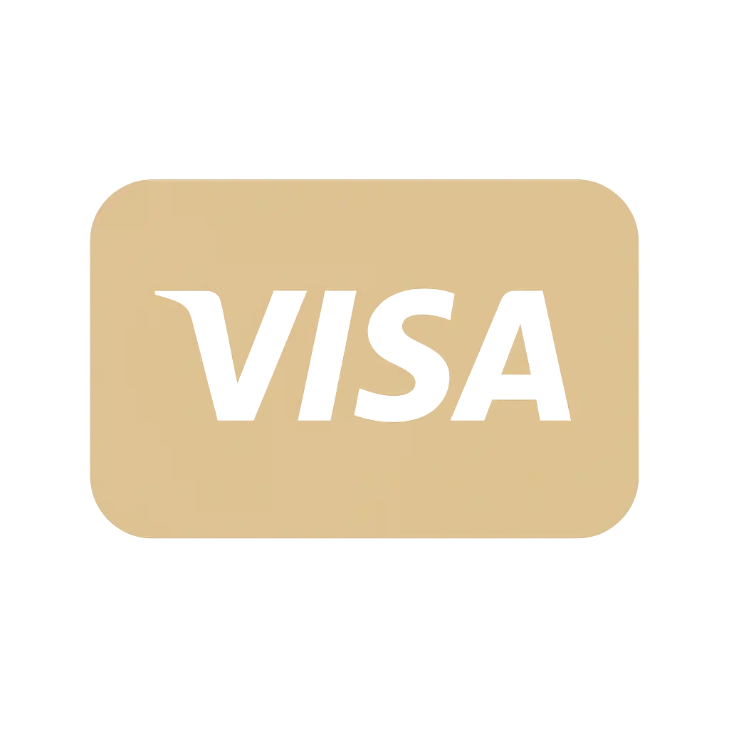 Visa icon